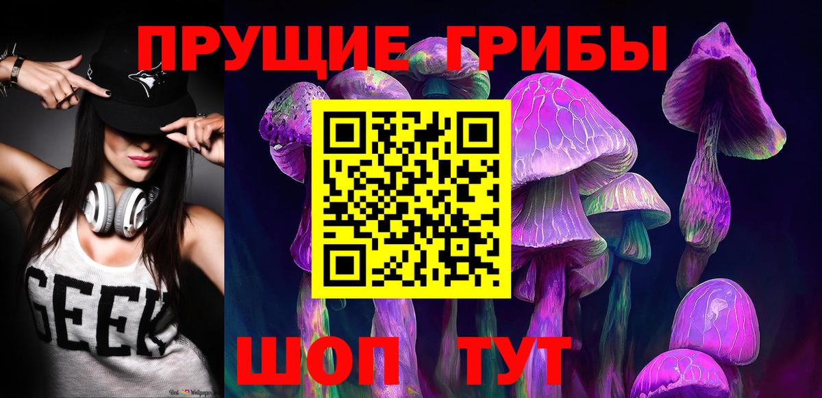 Псилоцибиновые грибы прущие грибы  Вход с VPN  Тутаев 