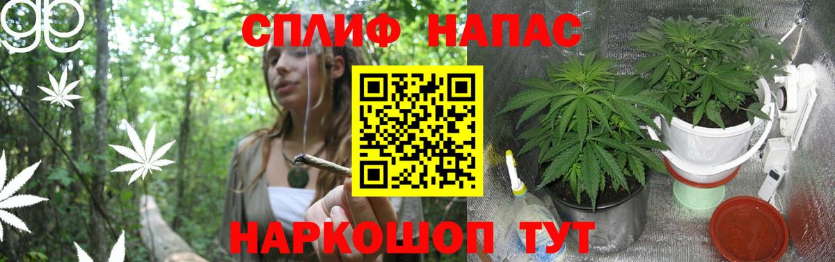 Конопля семена  Шишки марихуана VHQ  Тутаев  Вход с VPN  Бошки марихуана OG Kush  Бошки марихуана план 